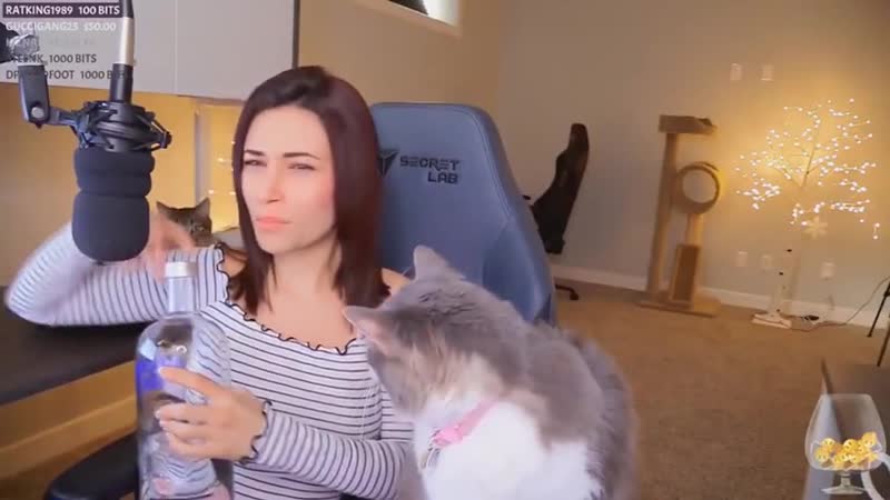 Блогерка мучает кота