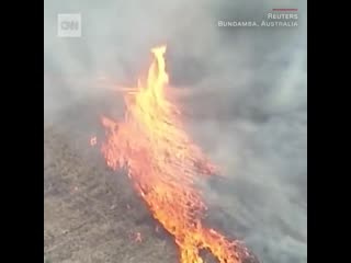 God "here's some bushfires" australians "enough!" god "ok, here's a fire tornado" australians