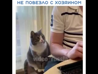 Опять жрешь