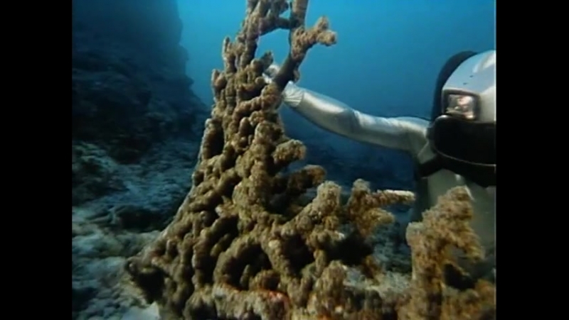 Повторное открытие мира #22 андаманские острова невидимые острова