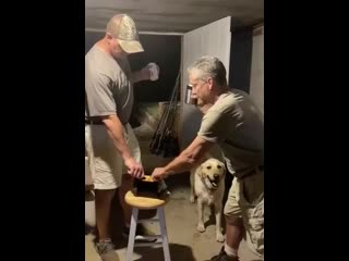 Эксперименты с электричеством