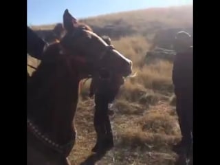 Cahit kayaoğlu at belinde (kvp set)