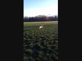 Отбить поймать