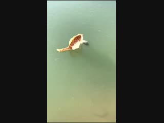 Are you fucking kidding me