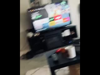 I think i adopted a loves to play fetch! (specifically with her orange poof toy)