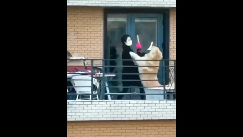 Девушка дерется с молодые