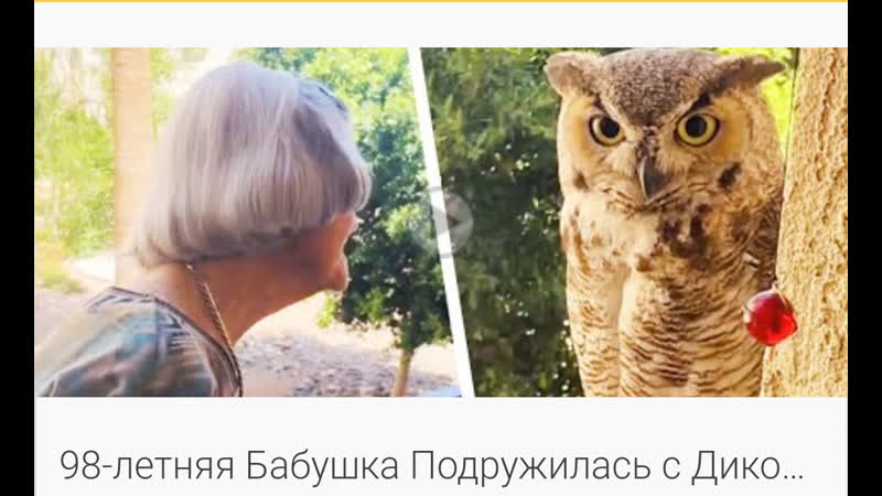98 летняя бабушка подружилась с филином!