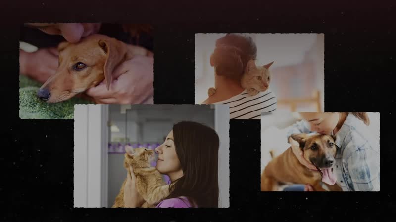 В твоих силах это изменить