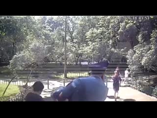 Img 20200623 164654 463 mp4