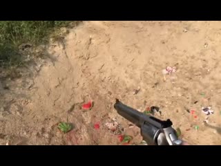 10mm vs 500 magnum