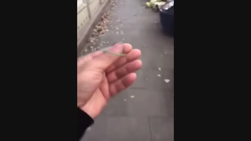 Нашёл резинку