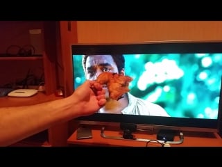 Негр и курица прикол black guy and