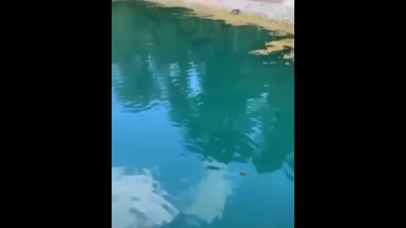 Чтоб наверняка