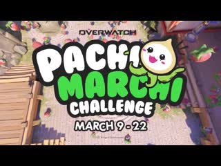 Pachimarchi challenge