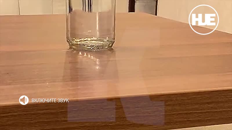 В столичном аэропорту шереметьево светлана лобода закатила скандал персоналу