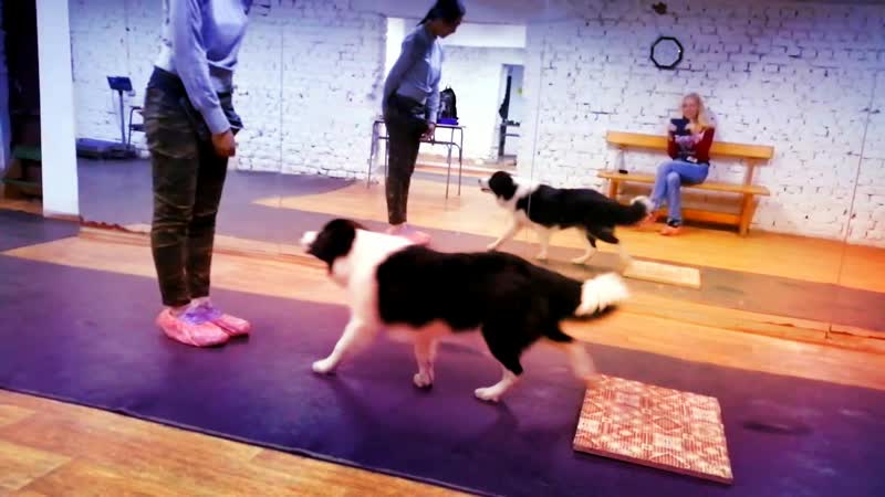 Нигина и дантэ