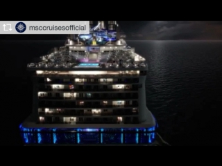 New baby msc meraviglia