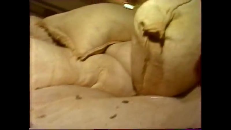 Ссср товарный дефицит (видеохроника 1989 91г )