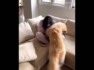 Добрые мемы )