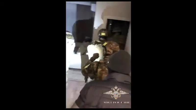 В подмосковье задержали банду из 8 человек, подозреваемых в серии молодые