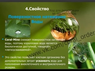 Концепция здоровья с coral club от людмилы пидкуйко presentation