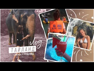 [katya adushkina] vlog тайланд // катаемся на слонах!!!