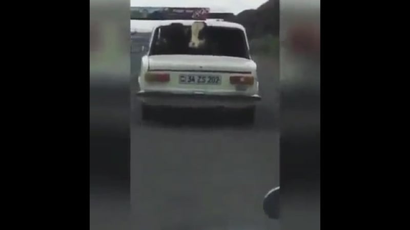 Садись, прокачу