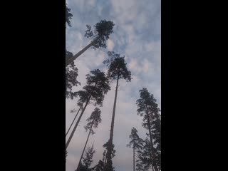 Vid 20200904 192937 mp4