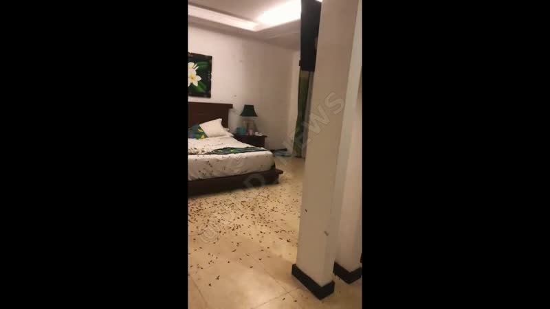 Во время отдыха в экзотических странах на ночь нужно закрывать окна российские туристы на бали забыли об этом, а зря