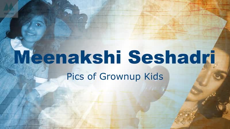 Bollywood actress meenakshi seshadri grownup porn