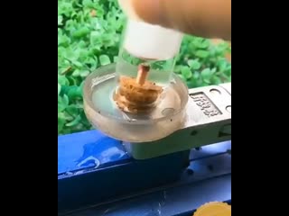 Небольшие физические эксперименты 😎