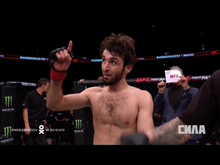 Zabit magomedsharipov hl