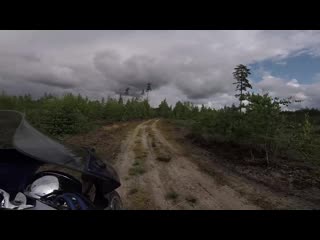 Forest ride, timelaps estonia