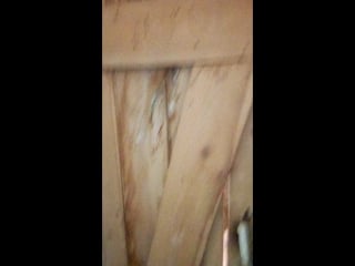 Vid 20180414 174037 mp4