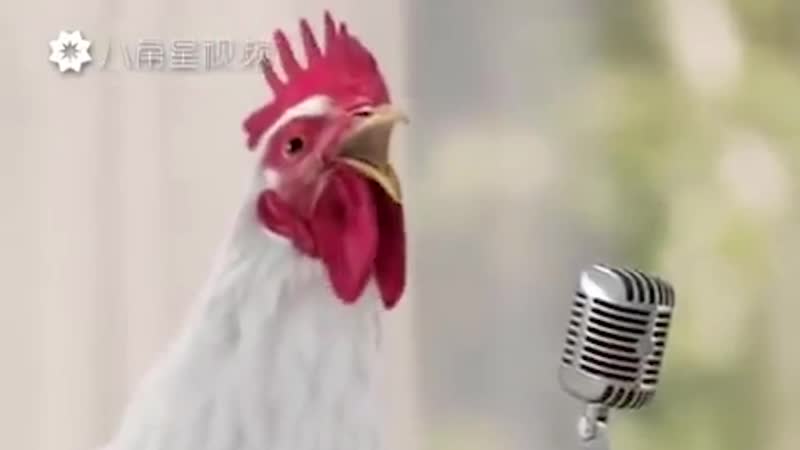 Админ подпевает