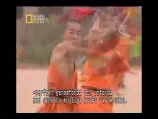 Myths & logic of shaolin monks pt 1