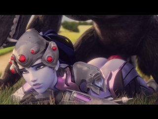 Itm widow overwatch
