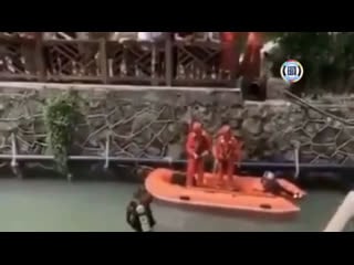 Глубоко нырнул