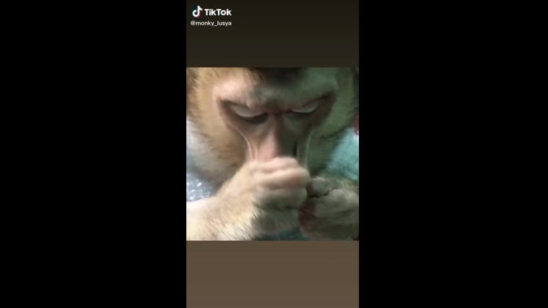 Мастер депиляции, небольно, недорого))))