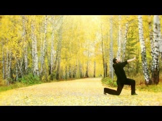 Dmitriy gorin | ben saunders stacey