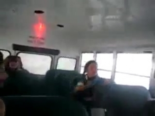 На пень наскочил