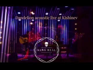 Sang real dandelion acoustic live at kishinev meteora club