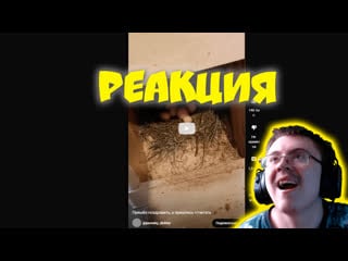 Dragfessik смотрит пришёл поздравить, а пришлось отчитать