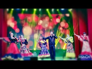 Мохнатый шмель ролик руставели шандра