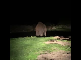 Alex with malte / ree safari park / x30