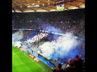 Hsv (08/02/2020)