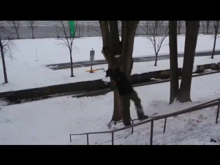 Frankapril full part from #thesnowboardermovie, #resolution