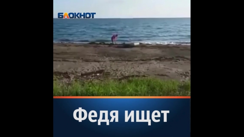 Пришел федя с друзьями на пляж в приморье захватили, как полагается, выпить