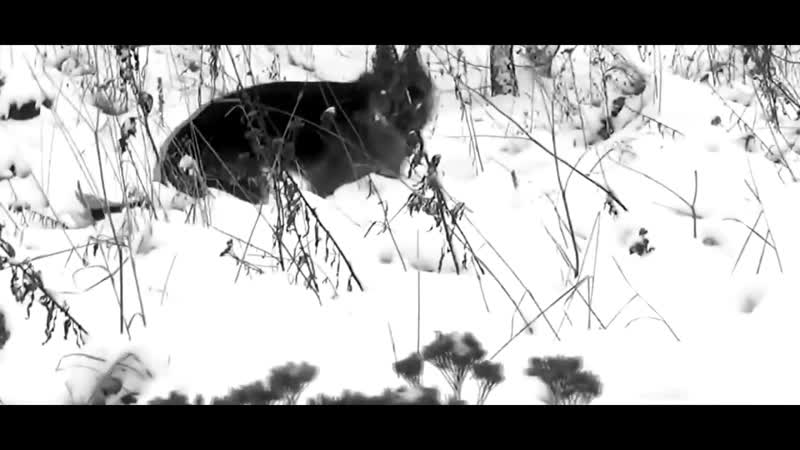 Человек и молодые (хотите плакать, смотрите)новая