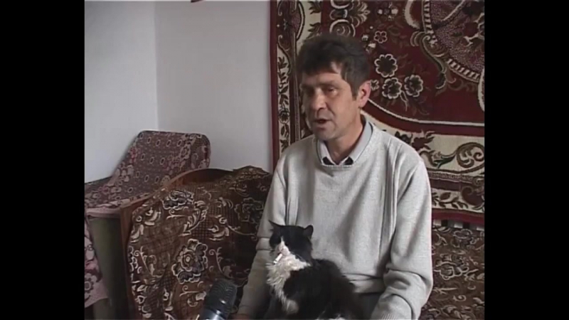 Бед тріп василя кота